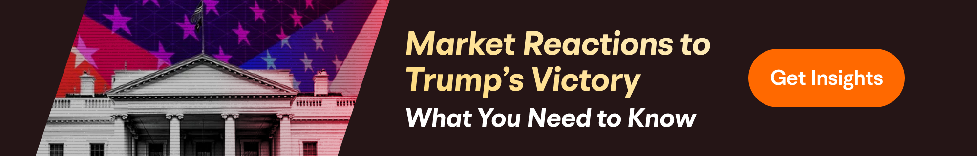 Trade us election 2024
