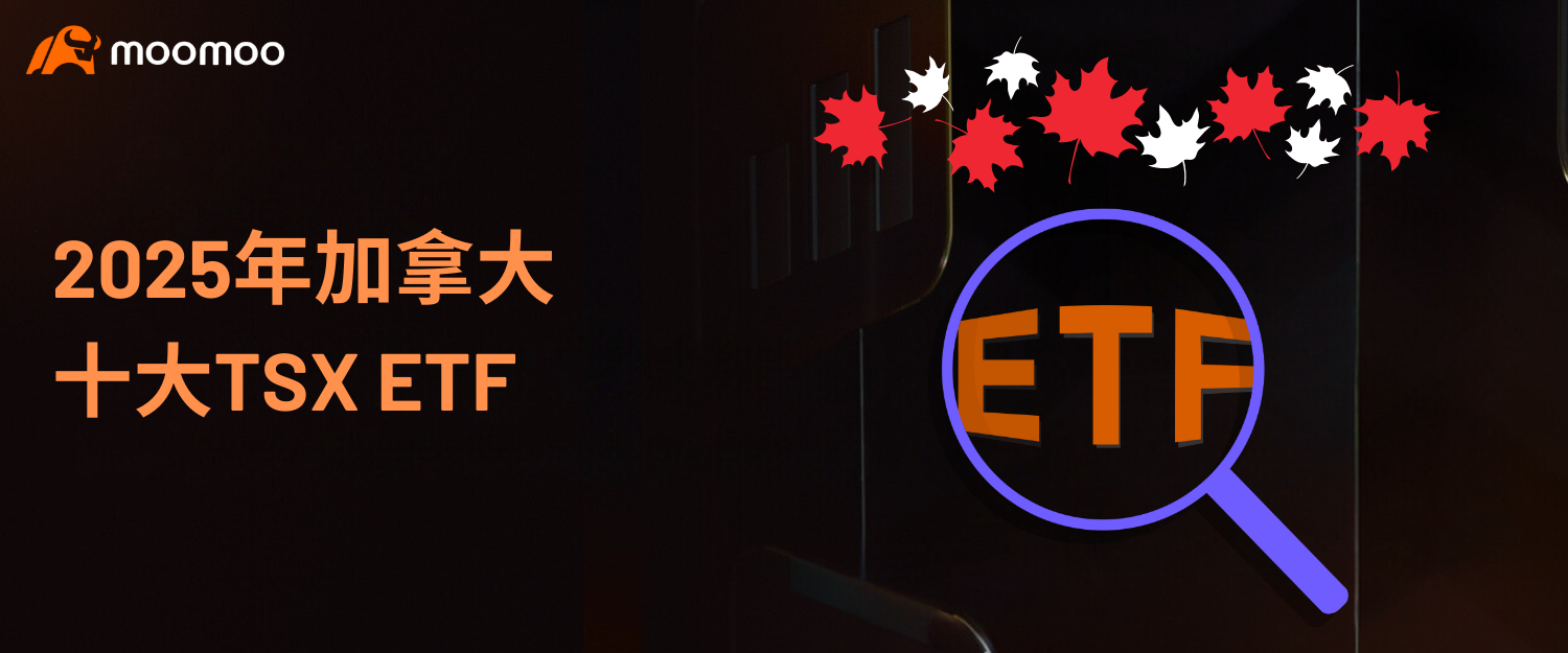 2025年加拿大排名前十的TSX ETF
