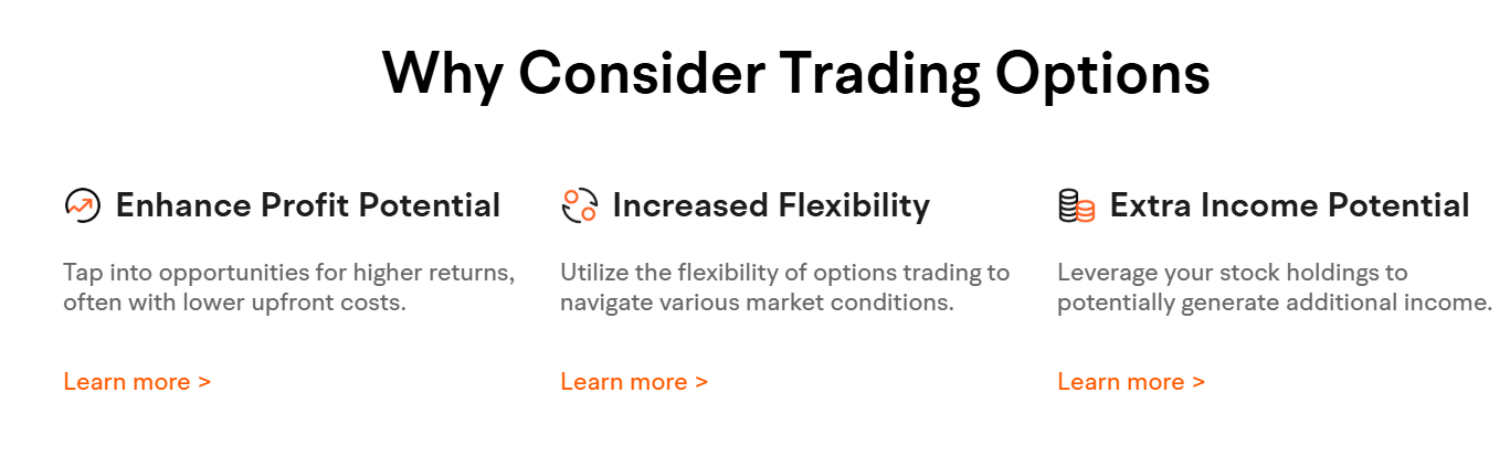 How Do Options Work?