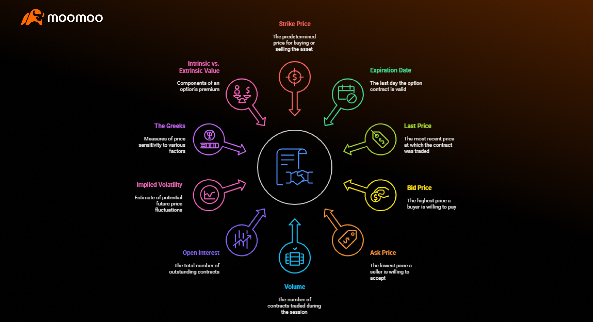 Components of an Options Chain
