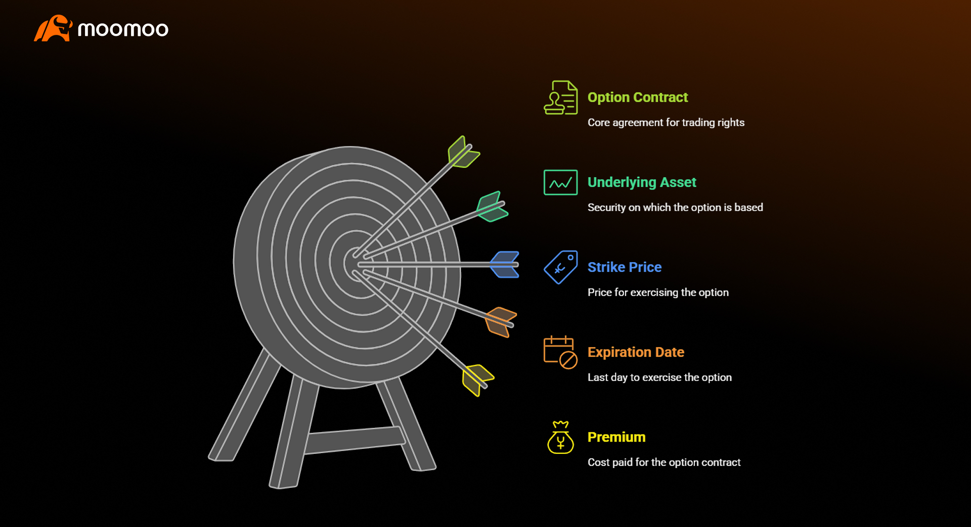 The Basics of Options Contracts