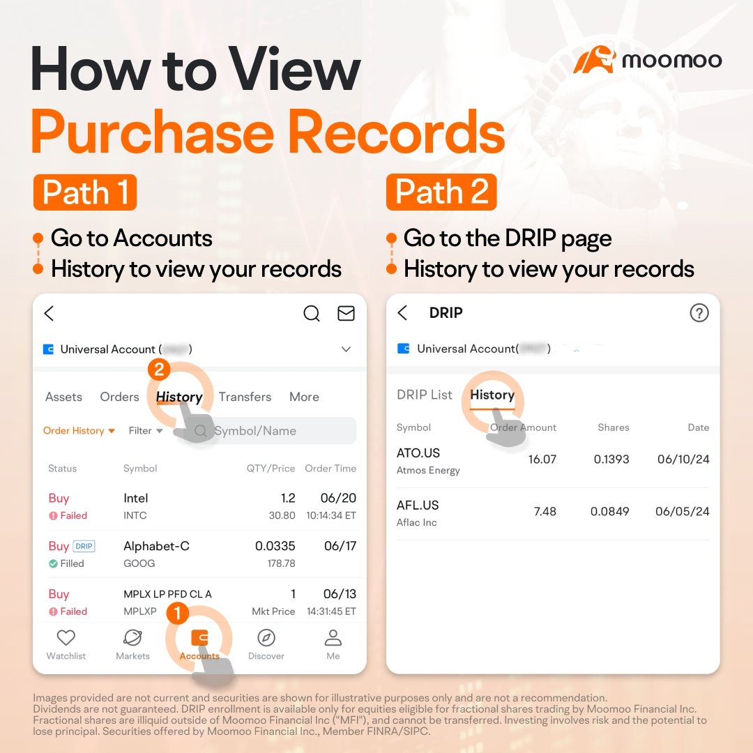 View your DRIP purchase records