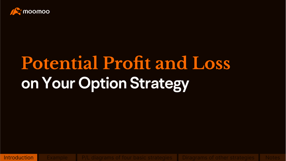Potential Profit and Loss on Your Option Strategy -1
