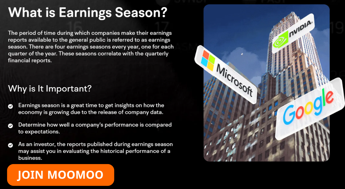 What is YZJ Earnings
